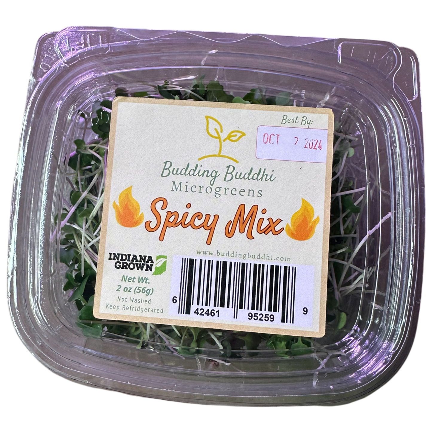 Spicy Micro Mix Microgreens